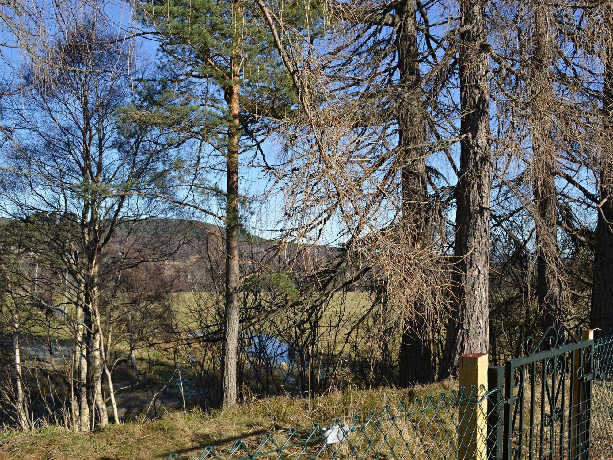 Tall Pines Villa Carrbridge Exterior photo